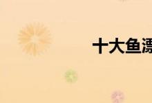  十大鱼漂品牌排行榜 