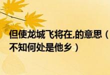 但使龙城飞将在,的意思（但使龙城飞将在,但使是什么意思?不知何处是他乡）