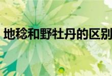 地稔和野牡丹的区别（毛稔和野牡丹的区别）