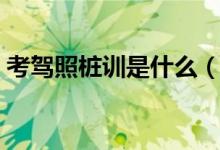 考驾照桩训是什么（驾驶证桩考技巧是什么）