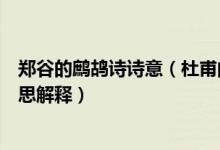 郑谷的鹧鸪诗诗意（杜甫的《孤雁》和郑谷的《鹧鸪》的意思解释）