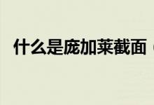 什么是庞加莱截面（什么是庞加莱猜想??）