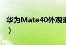 华为Mate40外观曝出（新机官网报价是多少）