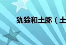犰狳和土豚（土豚指的是什么动物）