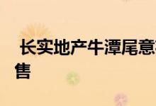  长实地产牛潭尾意花园 加推20幢洋房周四发售 