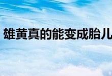 雄黄真的能变成胎儿吗（雄黄真的能驱蛇吗）