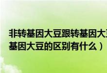 非转基因大豆跟转基因大豆有什么区别（转基因大豆与非转基因大豆的区别有什么）