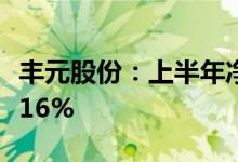 丰元股份：上半年净利润9442万元同比增长316%
