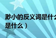 渺小的反义词是什么最佳答案（渺小的反义词是什么）