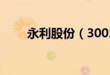 永利股份（300230）十大流通股东