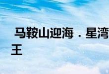  马鞍山迎海．星湾首批175伙收票破6千成票王 