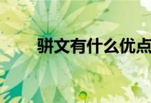 骈文有什么优点（骈文有什么特点）