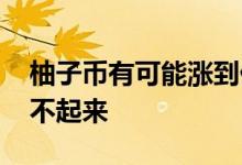 柚子币有可能涨到什么程度 柚子币为什么涨不起来