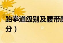 跆拳道级别及腰带颜色查询（跆拳道级别怎么分）