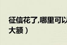 征信花了,哪里可以贷款（征信花从哪能贷到大额）