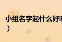 小组名字起什么好听霸气（小组名字起什么好）