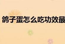 鸽子蛋怎么吃功效最好（鸽子蛋怎么吃最好）