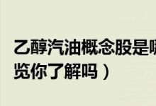 乙醇汽油概念股是哪些（乙醇汽油股票龙头一览你了解吗）