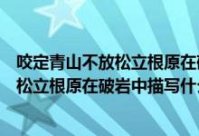 咬定青山不放松立根原在破岩中描写什么花（咬定青山不放松立根原在破岩中描写什么植物）