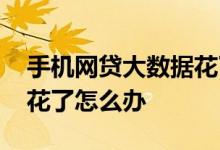 手机网贷大数据花了怎么办 网络贷款大数据花了怎么办