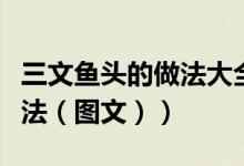 三文鱼头的做法大全家常视频（三文鱼头的做法（图文））