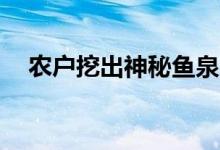 农户挖出神秘鱼泉（光靠鱼泉年入30万）