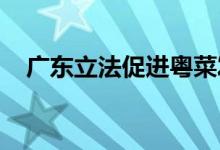 广东立法促进粤菜发展鼓励开展菜品创新