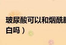 玻尿酸可以和烟酰胺一起用吗（玻尿酸可以美白吗）