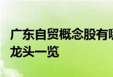 广东自贸概念股有哪些广东自贸概念上市公司龙头一览