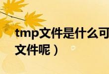 tmp文件是什么可以删吗（tmp文件是什么文件呢）
