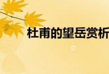 杜甫的望岳赏析（杜甫的望岳赏析）