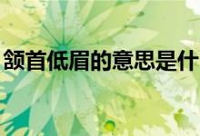 颔首低眉的意思是什么（急!!!!!!!!!!!!!!!!!!!!）