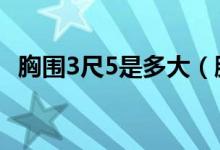 胸围3尺5是多大（胸围3尺05是多少厘米）