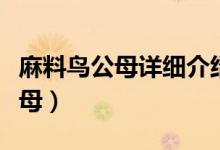麻料鸟公母详细介绍一下（麻料鸟尾巴区别公母）