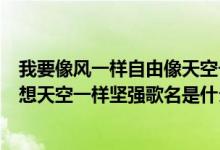 我要像风一样自由像天空一样坚强歌词（我要像梦一样自由想天空一样坚强歌名是什么）
