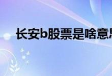 长安b股票是啥意思 长安b股票是啥意思