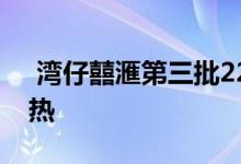  湾仔囍滙第三批220伙开售 大幅提价销情仍热 
