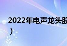 2022年电声龙头股票有哪些（看看有你的没）