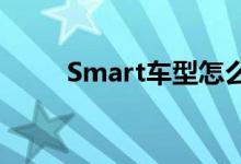  Smart车型怎么样Smart车型介绍 