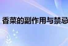 香菜的副作用与禁忌（香菜的副作用是什么）