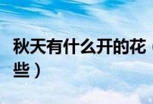 秋天有什么开的花（我想知道秋天开的花有哪些）