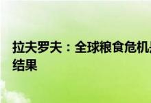 拉夫罗夫：全球粮食危机是西方对俄罗斯实施不恰当制裁的结果