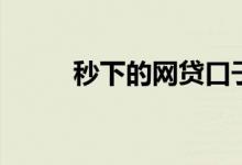 秒下的网贷口子（秒贷最新口子）