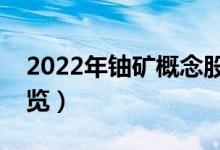 2022年铀矿概念股票有那些（铀矿龙头股一览）