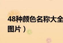 48种颜色名称大全带解析（48种颜色名称及图片）