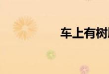  车上有树脂油如何清除 