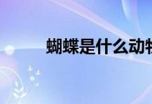 蝴蝶是什么动物（蝴蝶是益虫吗）