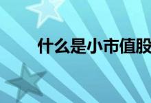 什么是小市值股票 什么是小市值股 