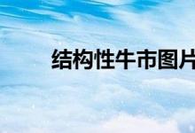 结构性牛市图片 结构性牛市的特征