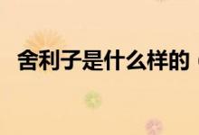 舍利子是什么样的（舍利子是什么形成的）